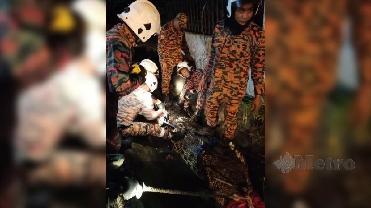 Buaya cedera ditembak diselamatkan