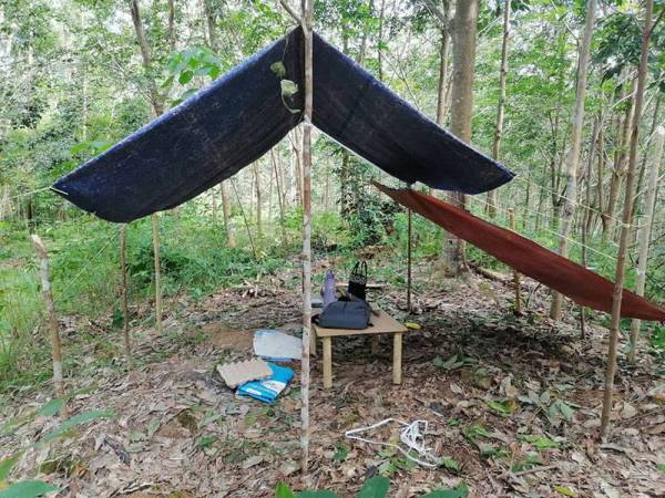 Belajar online di puncak bukit Artikel Penuh